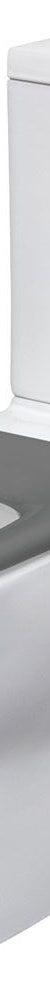 Delta Care Back-to-Wall Toilet Suite, Grey Seat, Grey - K013GP