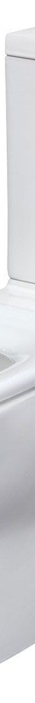 Fienza Delta Care Back-to-Wall Toilet Suite, Raised Buttons