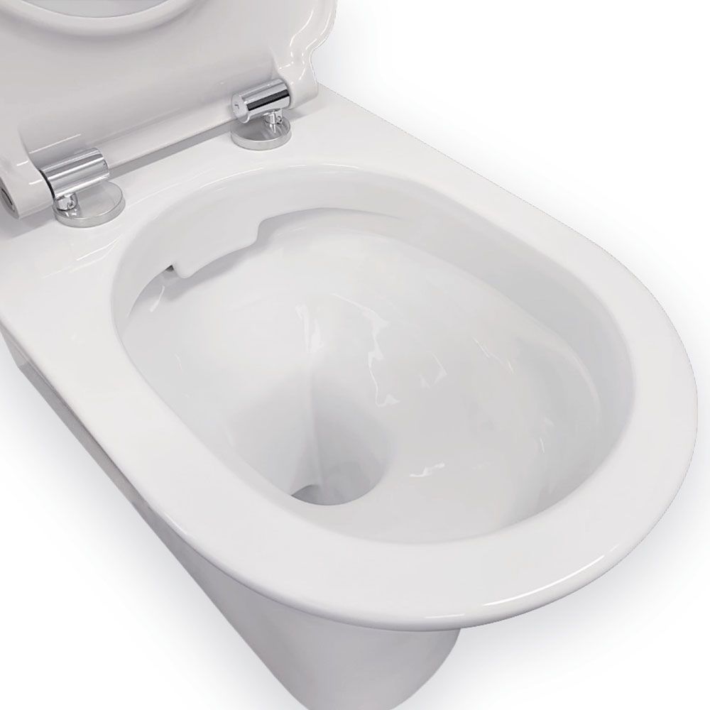 Fienza Delta Care Back-to-Wall Toilet Suite, Slim Buttons