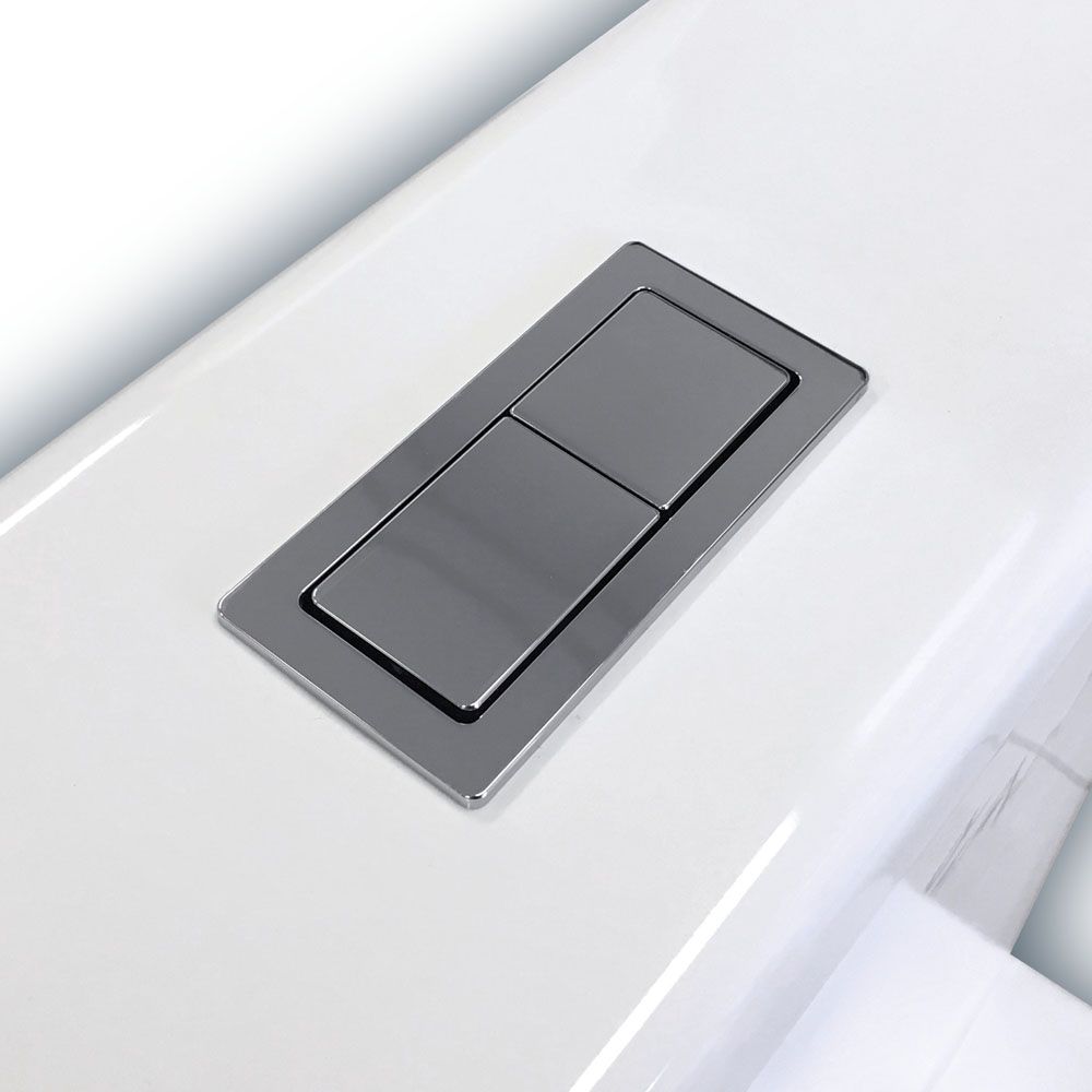 Fienza Delta Care Back-to-Wall Toilet Suite, Slim Buttons