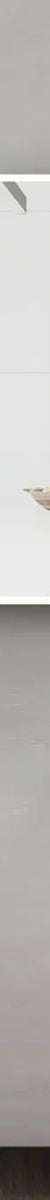 Moonlight 1500mm LED Shaving Cabinet - 2 Doors