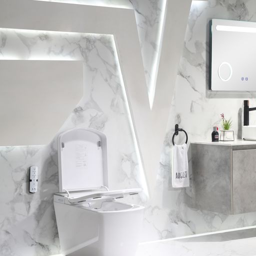 Leca Entire Smart Toilet