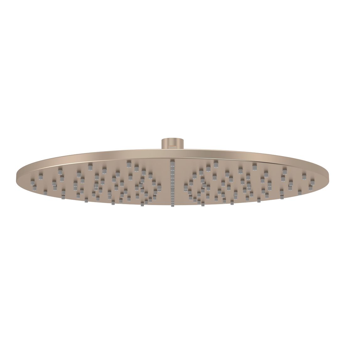 Round Shower Rose 300mm Champagne