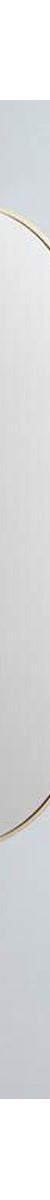 Modern Oblong 460 x 1210 Mirror with Portable Magnifier - Baltic Brass