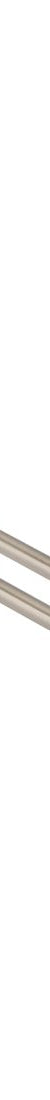 Round Double Towel Rail 900mm Champagne