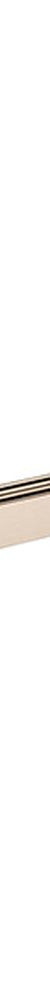 Curvae Double Towel Rail 800mm - Champagne