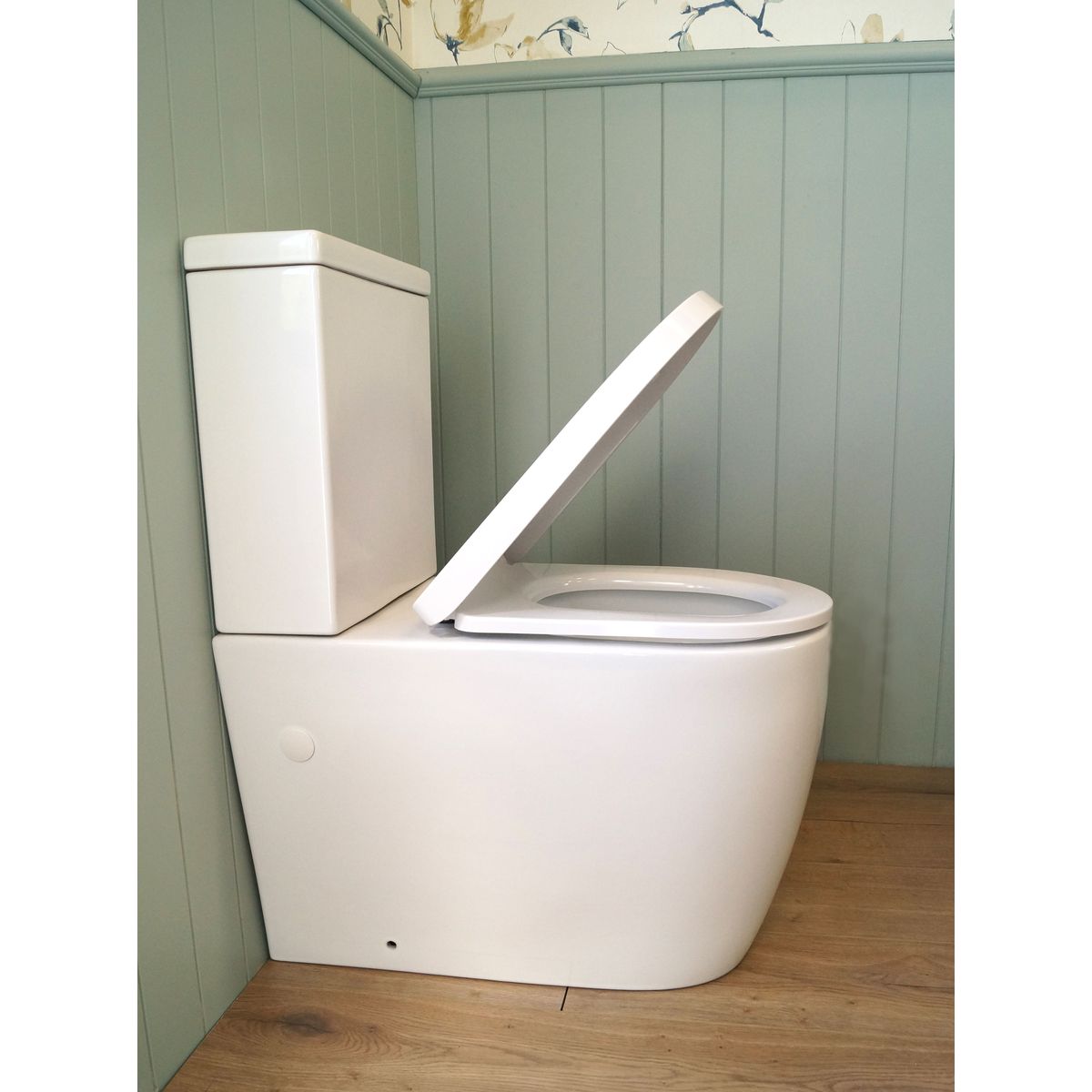 Narva Rimless Back To Wall Close Coupled Toilet Suite With Thin Seat