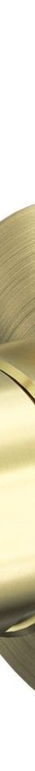 Mecca Shower Mixer Handle Up 80mm Plate in Brushed Gold