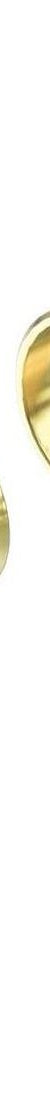 Mecca Shower Mixer 60mm Plate Trim Kits Only in Brushed Gold
