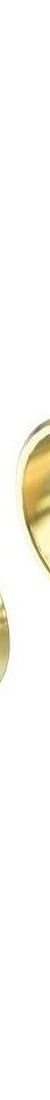 Mecca Shower Mixer 60mm Handle Up Plate Trim Kits Only in Brushed Gold