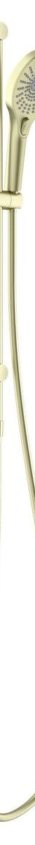Opal Shower Rail - Brushed Gold