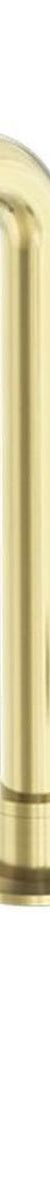 Kara Progressive Tall Basin Set in Brushed Gold