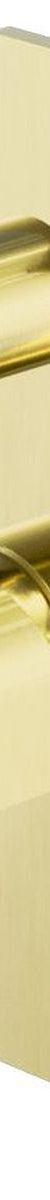 Bianca Shower Mixer With Divertor - Brushed Gold