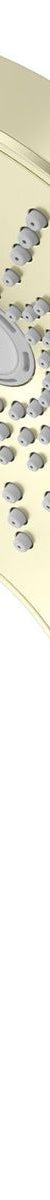 Opal Hand Shower - Brushed Gold