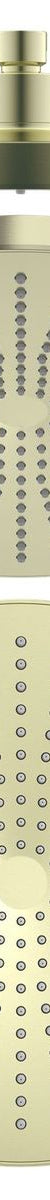 Opal 250mm Shower Head - Brushed Gold