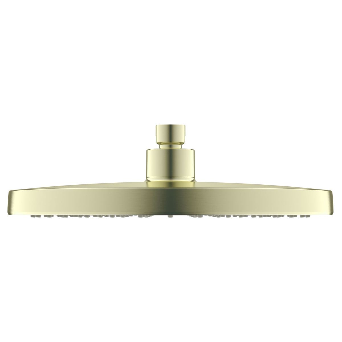 Opal 250mm Shower Head - Brushed Gold