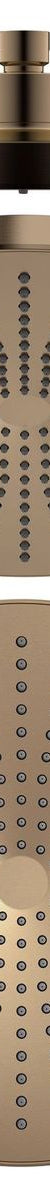Opal 250mm Shower Head - Brushed Bronze