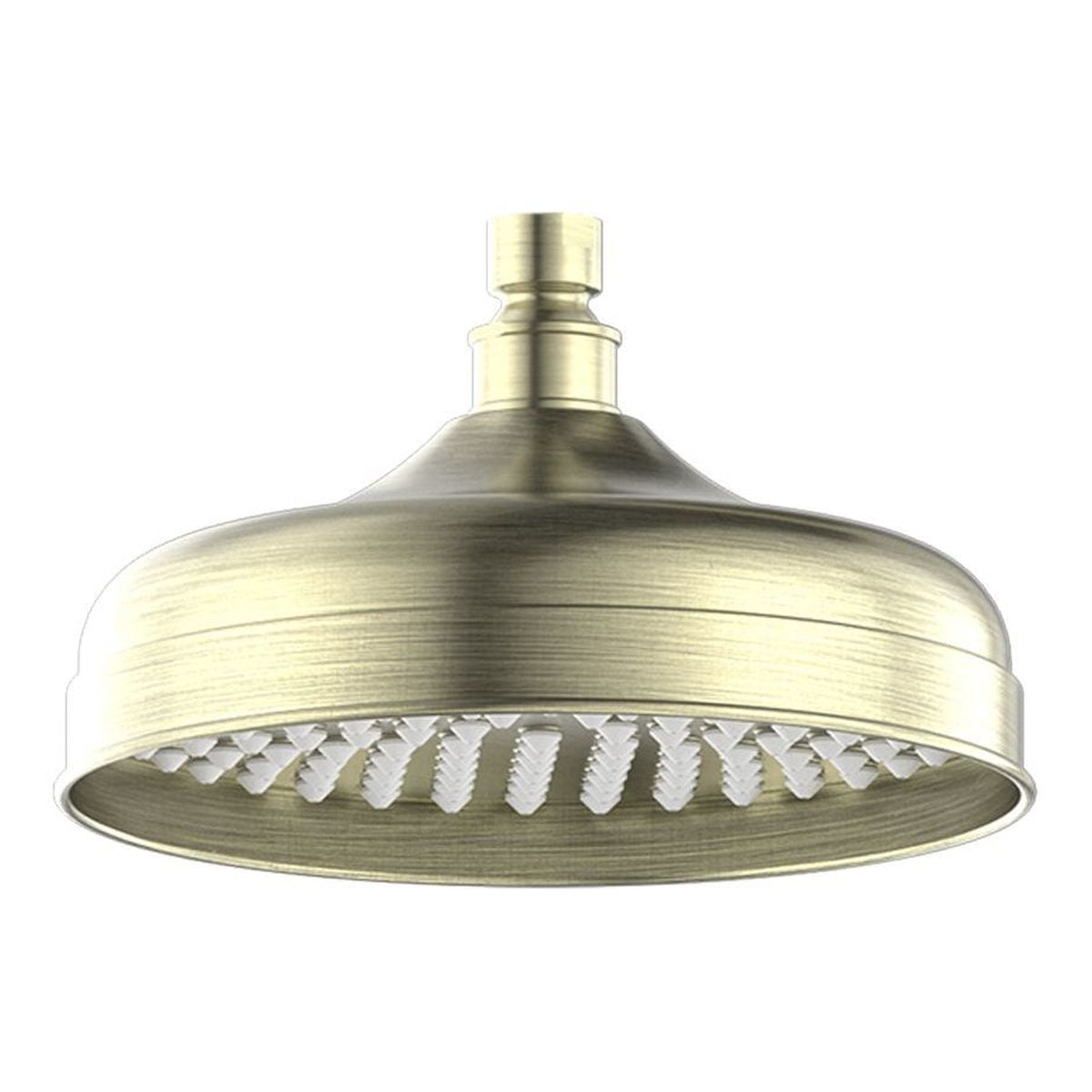 York 200mm Shower Head - Aged Brass