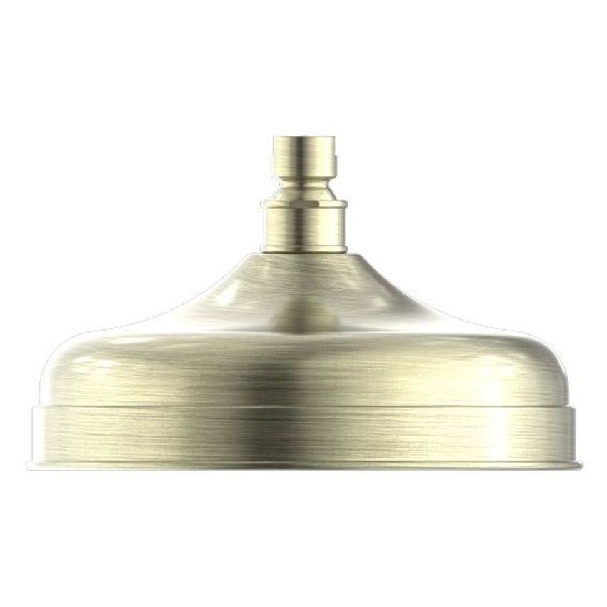 York 200mm Shower Head - Aged Brass