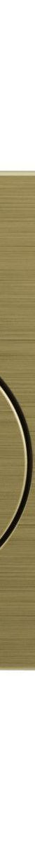 Flush Plate, Brushed Gold