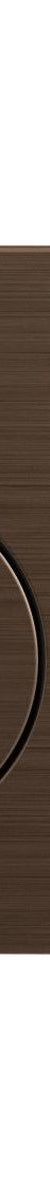 Flush Plate, Brushed Bronze