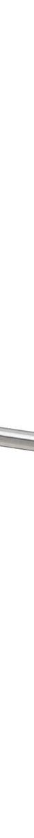 Radii SS 316 Single Towel Rail 600mm Round Plate