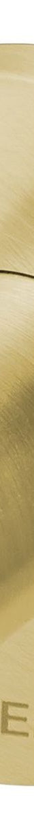 Radii Robe Hook Round Plate - Brushed Gold