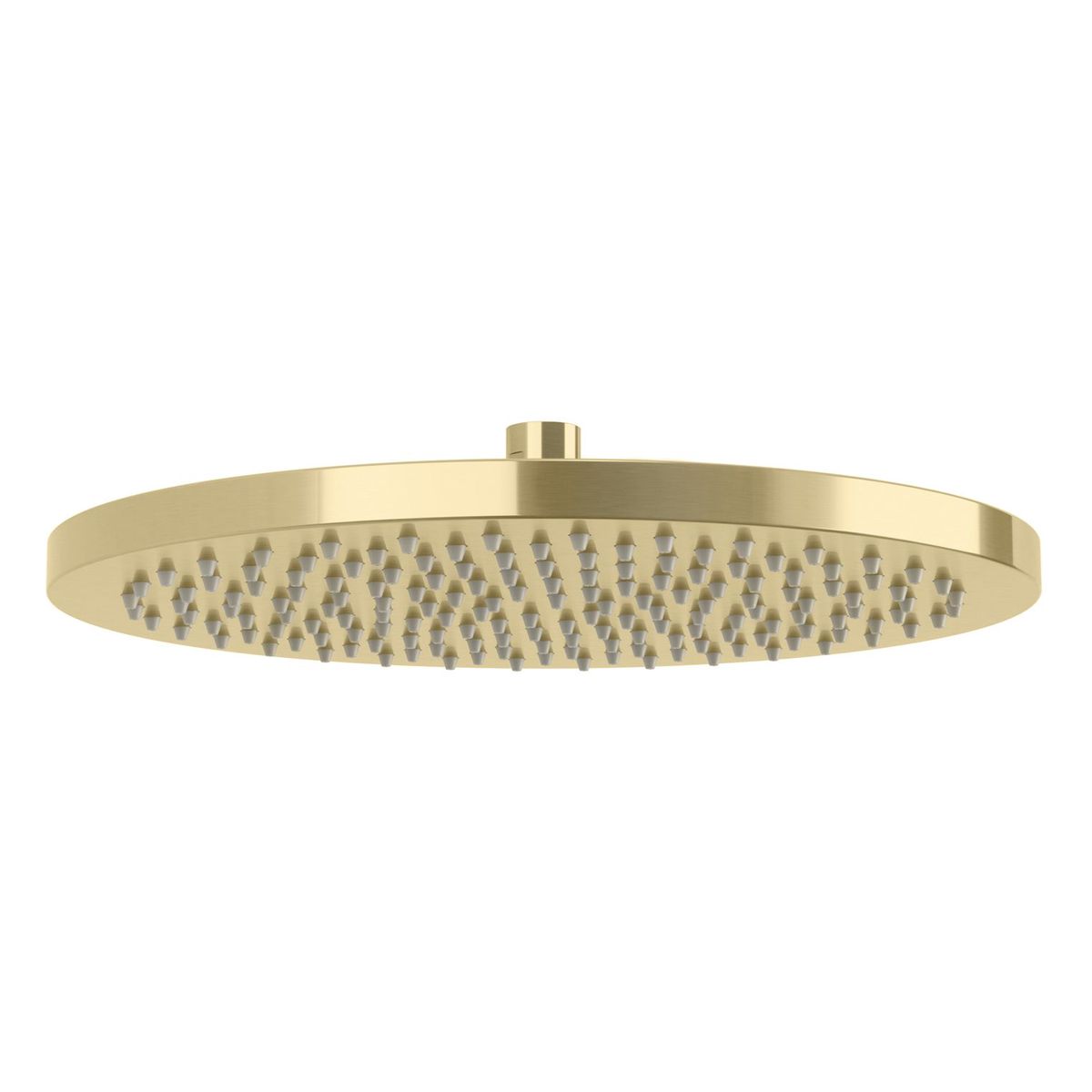 Vivid Shower Rose 300mm Round - Brushed Gold