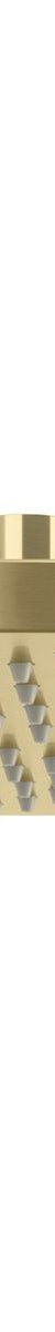 Vivid Shower Rose 300mm Round - Brushed Gold