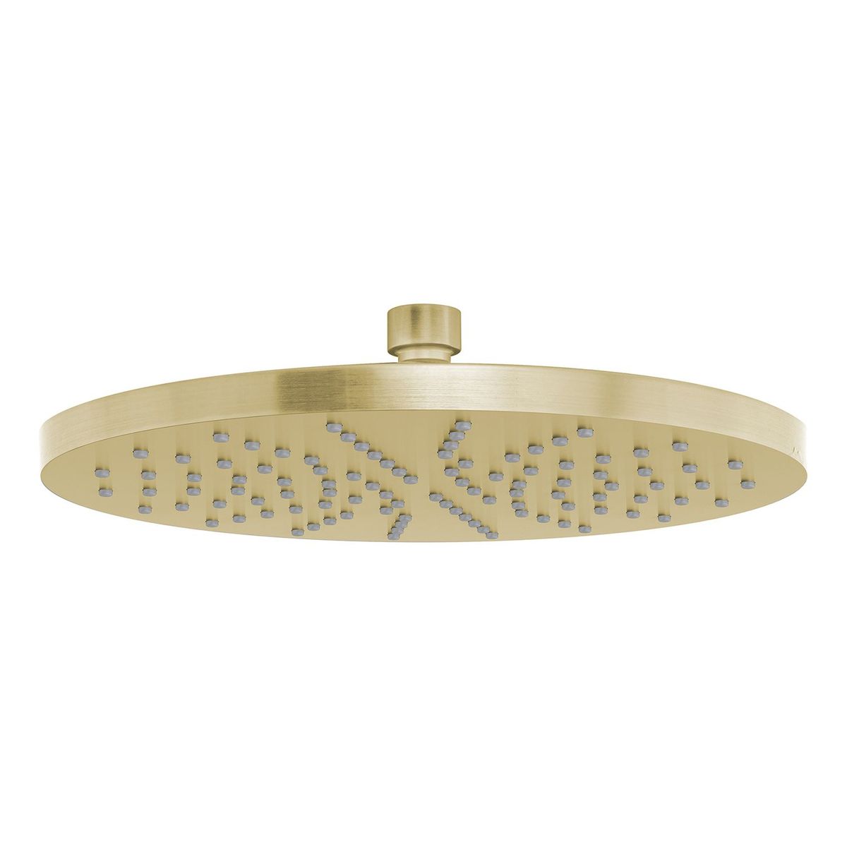 Vivid Shower Rose 230mm Round - Brushed Gold