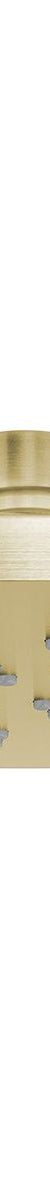 Vivid Shower Rose 230mm Round - Brushed Gold