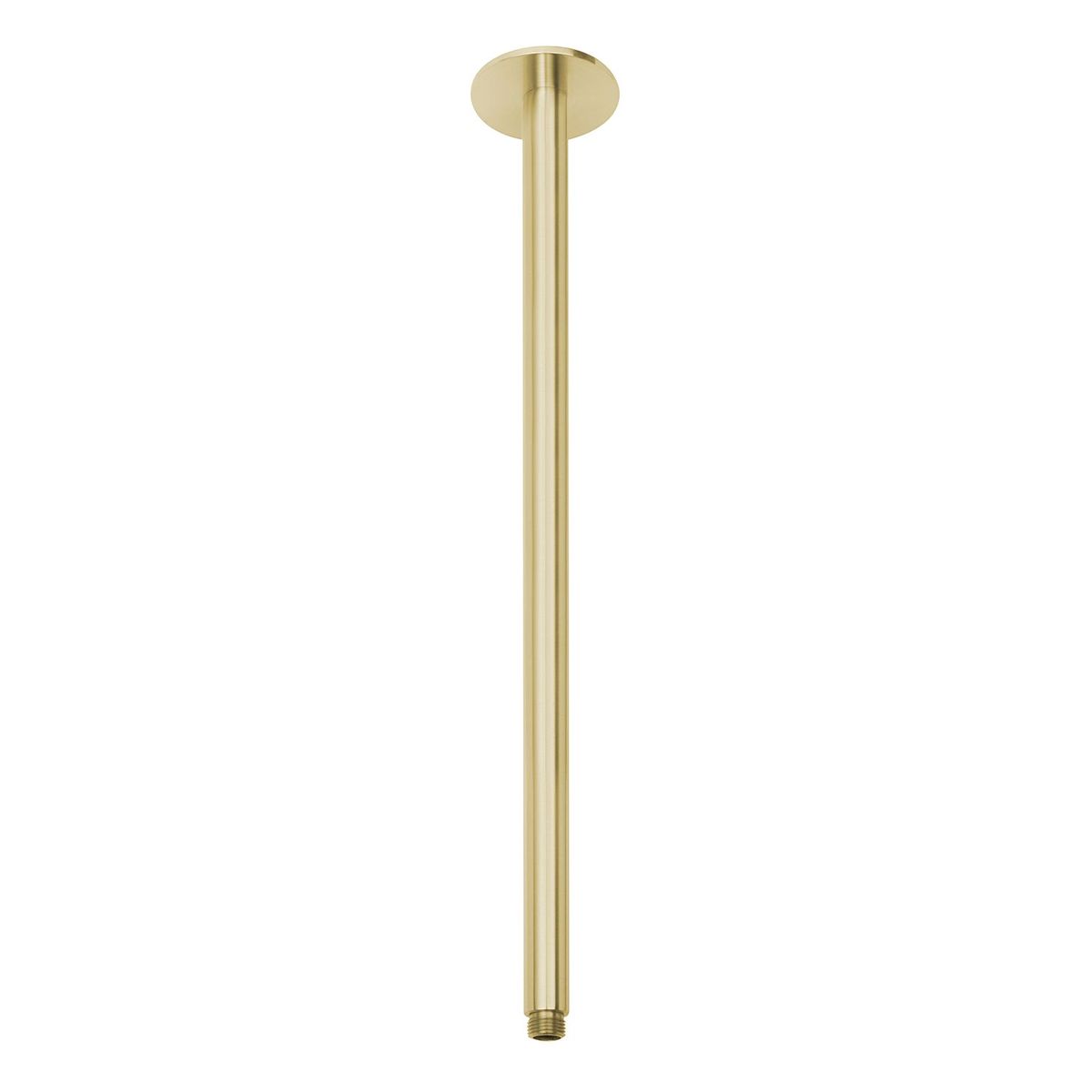 Vivid Ceiling Arm 450mm - Brushed Gold