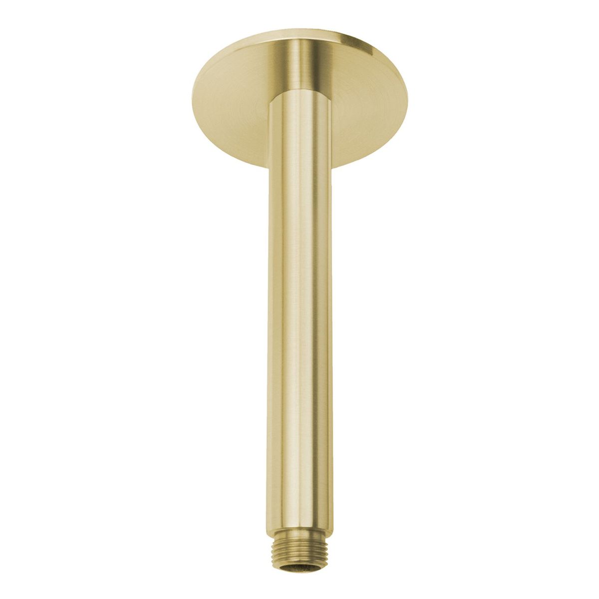 Vivid Ceiling Arm 150mm - Brushed Gold