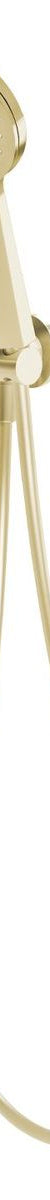 Vivid Hand Shower - Brushed Gold