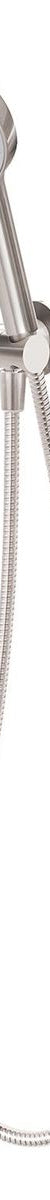 Vivid Hand Shower - Brushed Nickel