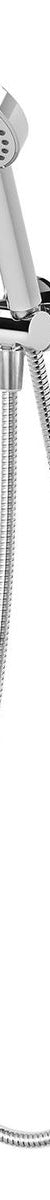 Vivid Hand Shower - Chrome
