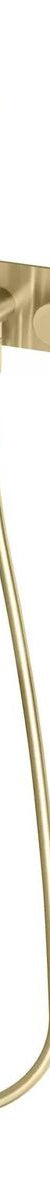 Vivid Slimline Oval Wall Shower System, Brushed Gold